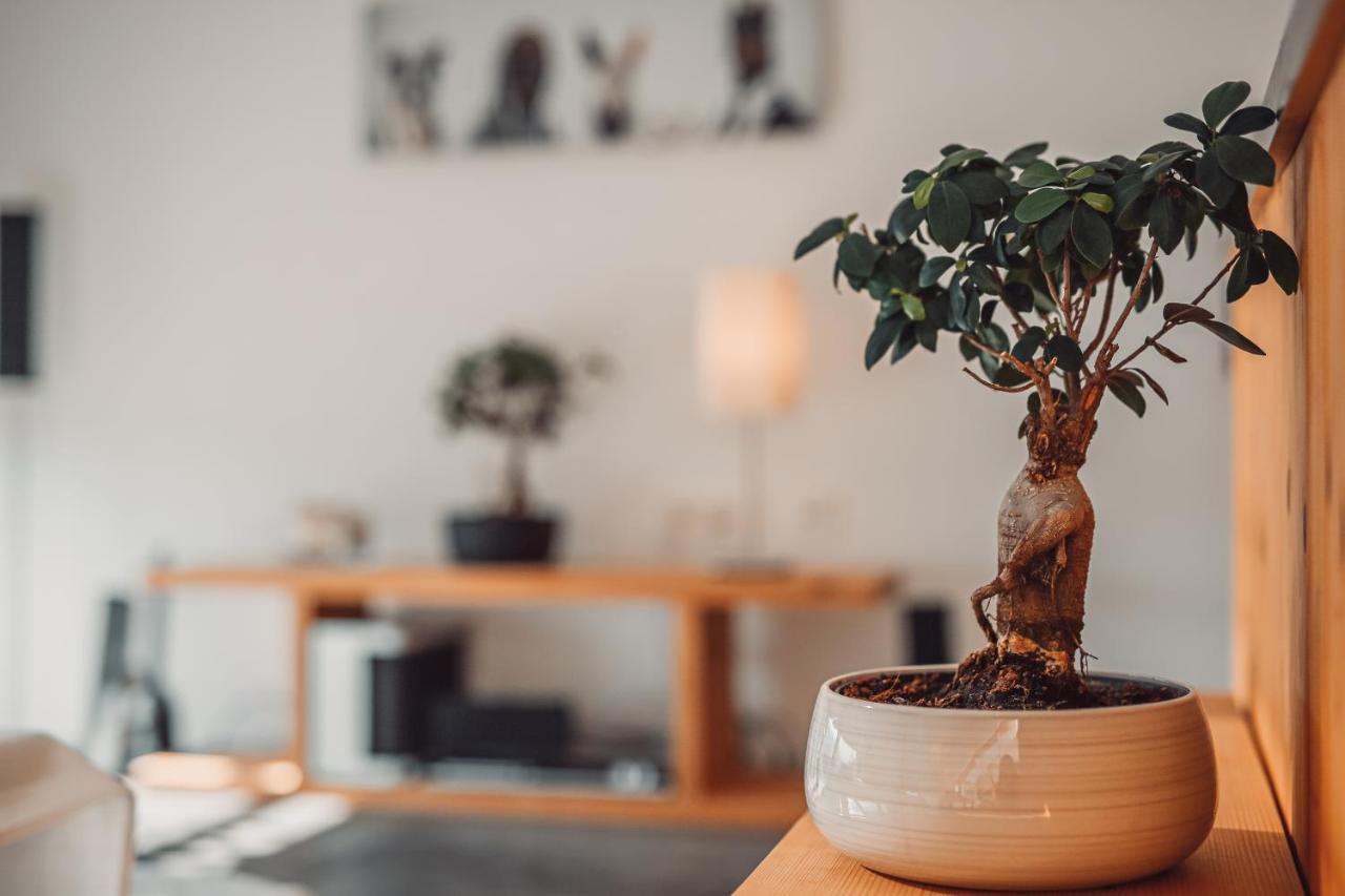 Eco Boutique Hotel Ams Beagle 블레드 외부 사진